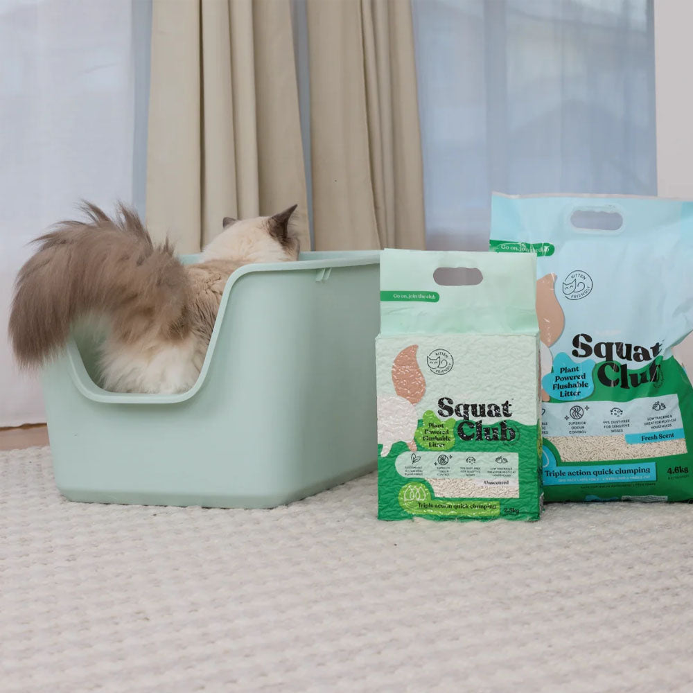 KAZOO Squat Club Plant Powered Flushable Cat Litter Fresh Scent
