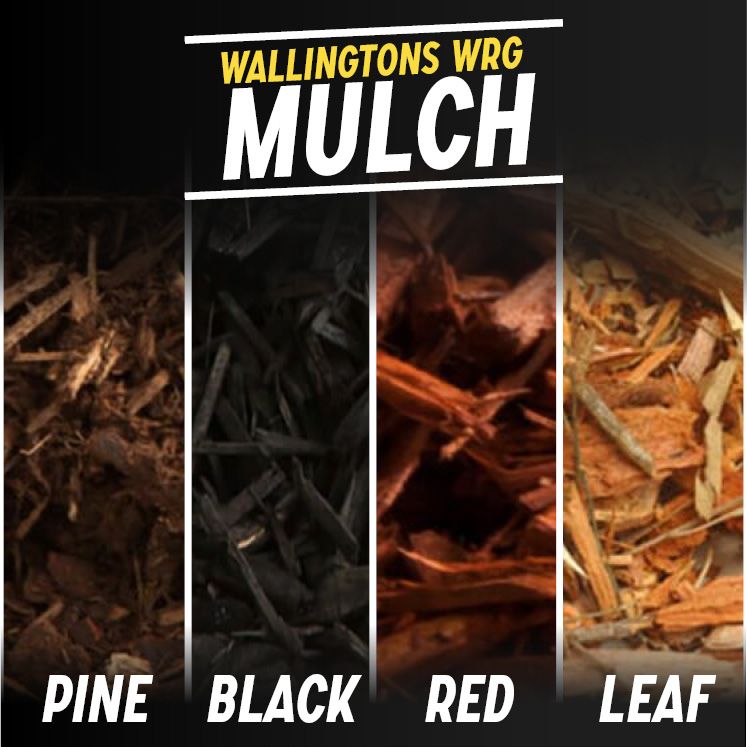 Black Mulch