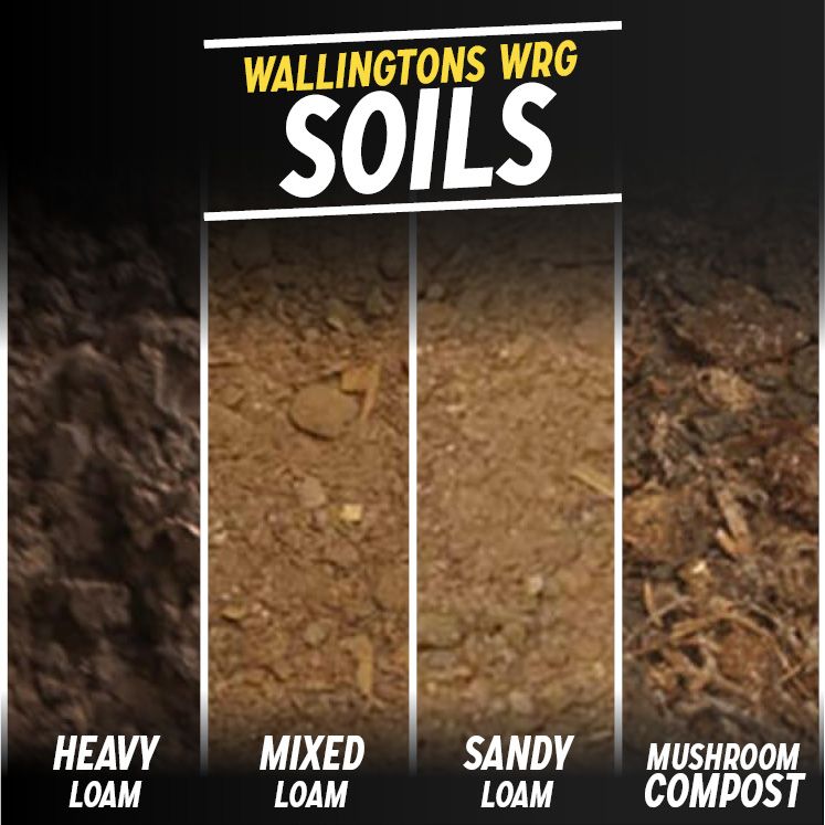 Sandy Loam