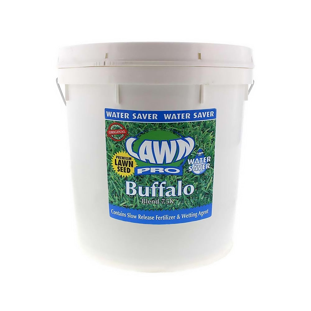 LAWN PRO Buffalo Blend Grass Seed