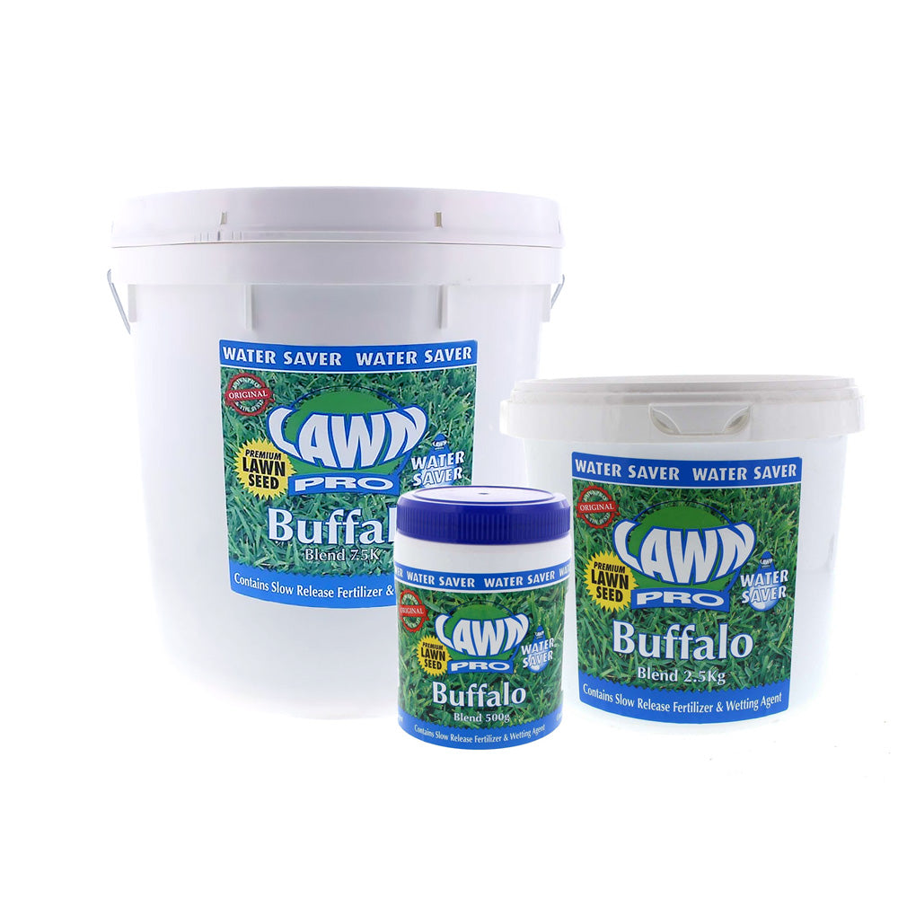 LAWN PRO Buffalo Blend Grass Seed