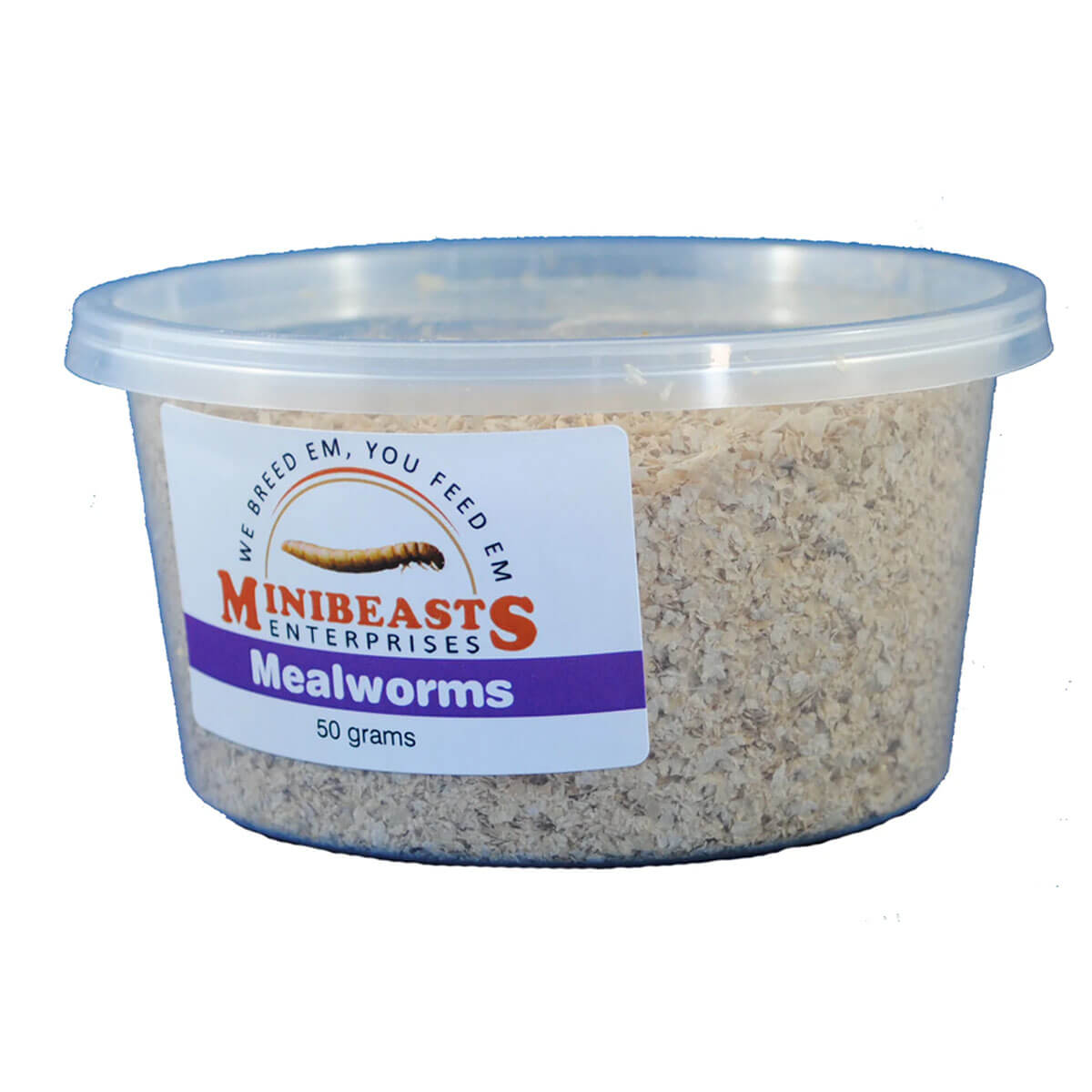 MINIBEASTS Mealworms