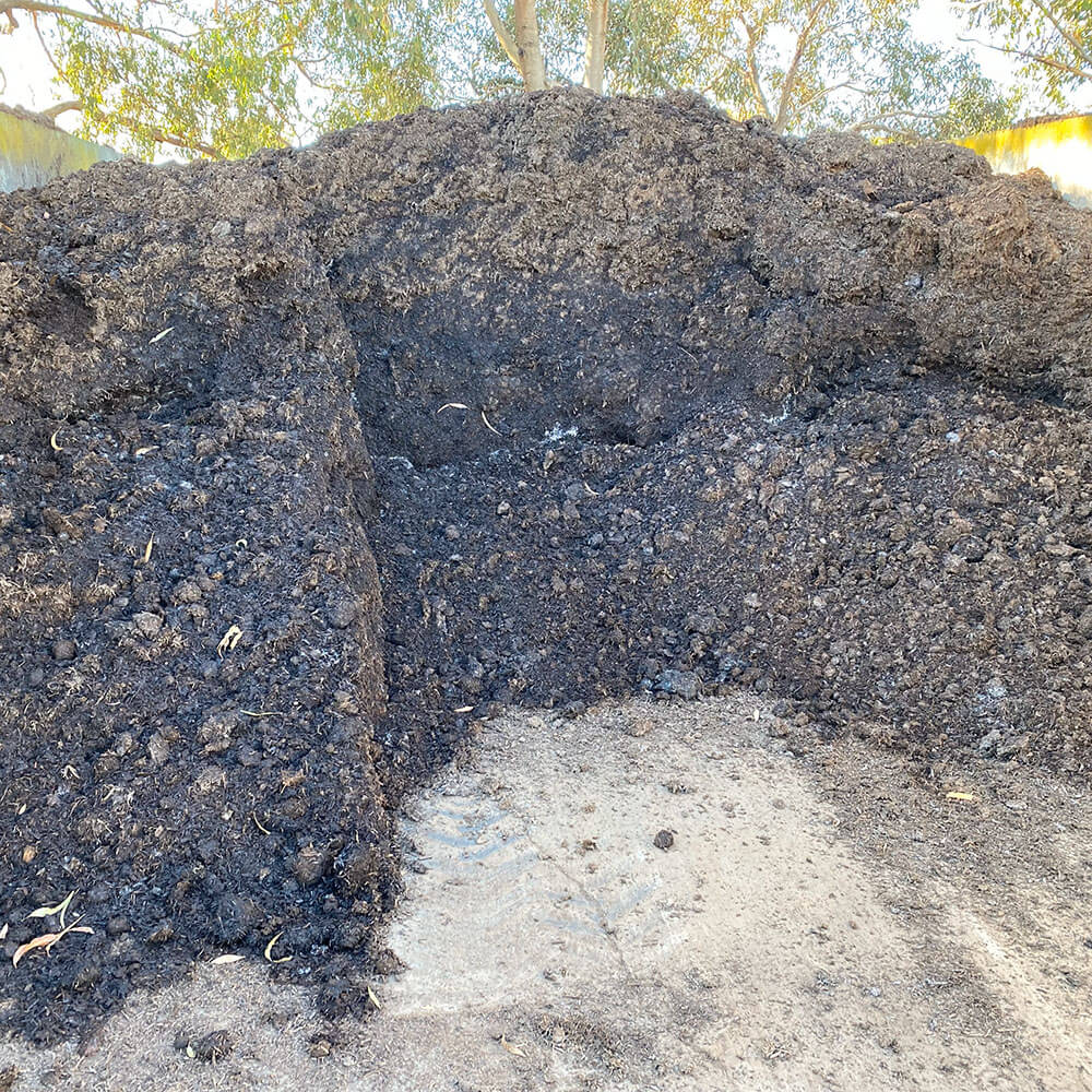 Mushroom Compost