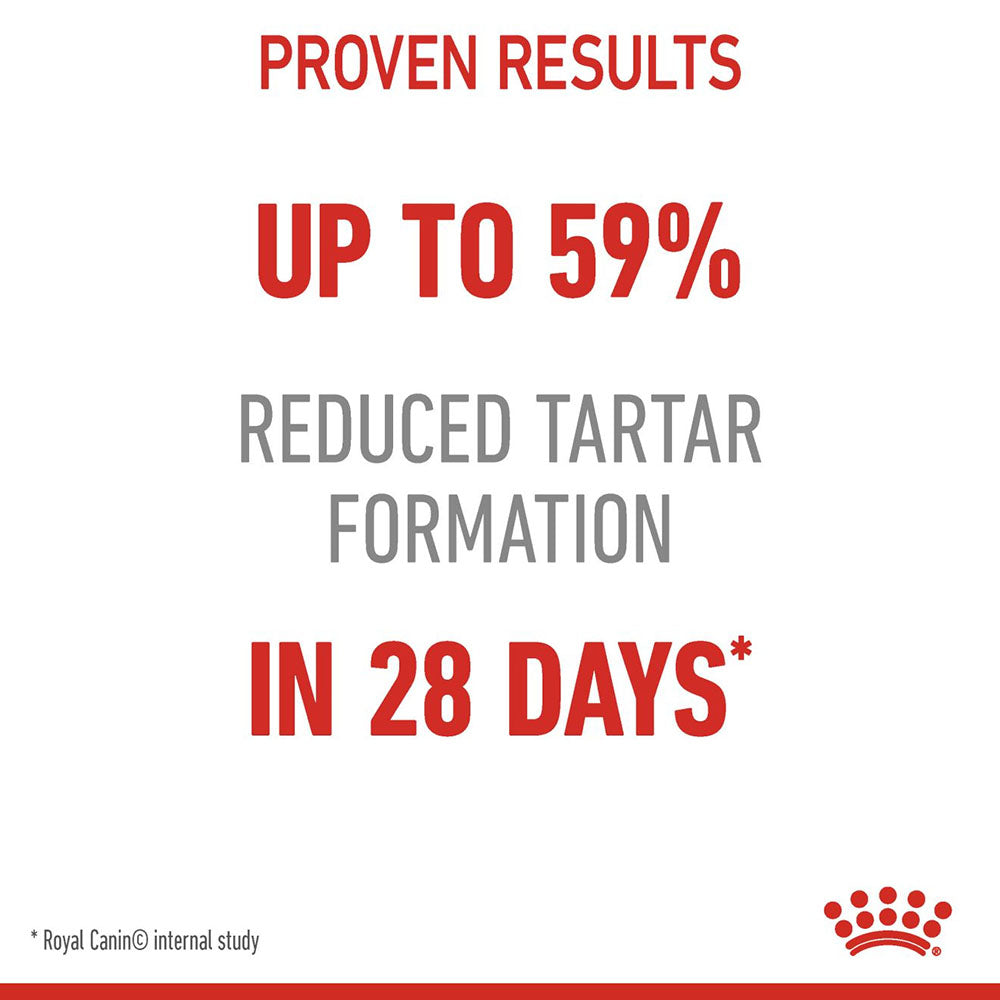 ROYAL CANIN Dental Care Dry
