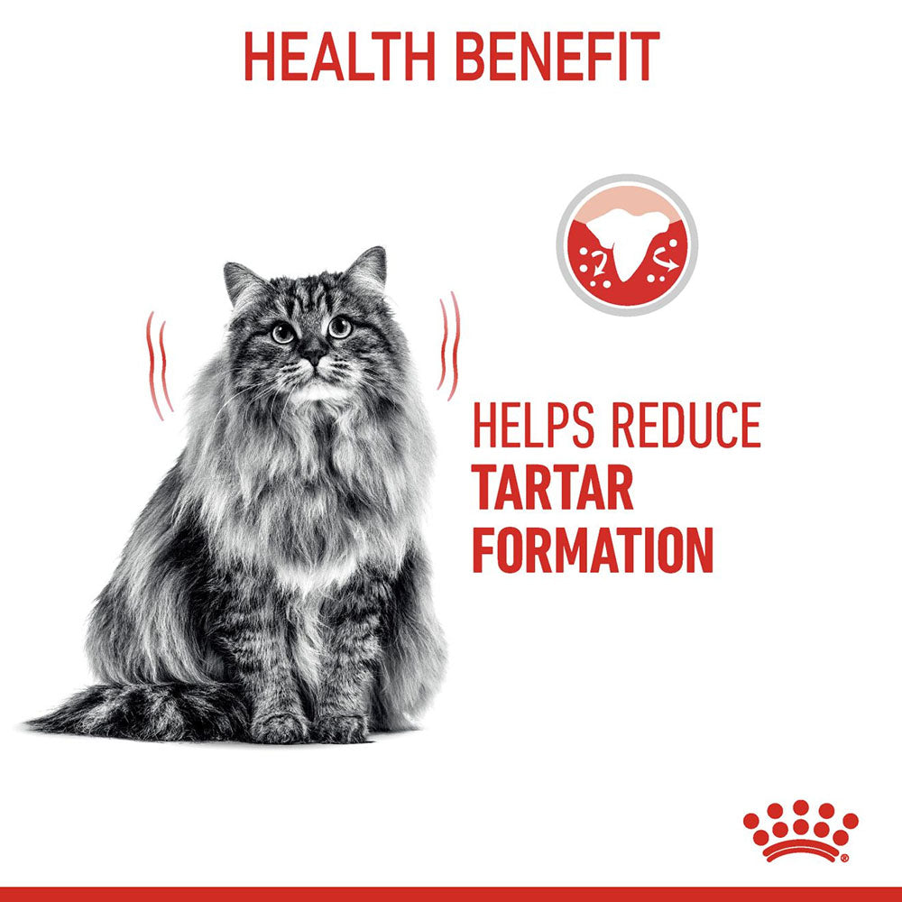ROYAL CANIN Dental Care Dry