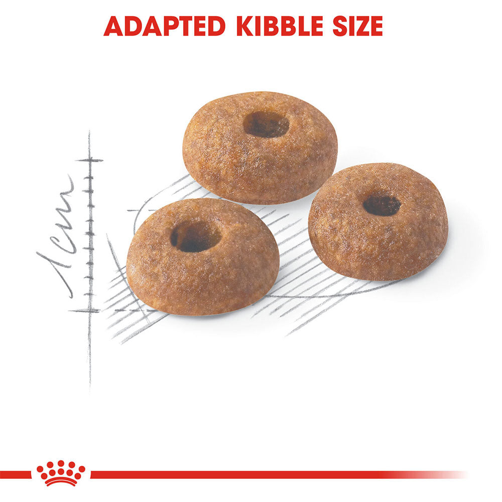 ROYAL CANIN Fit Dry Food For Cats