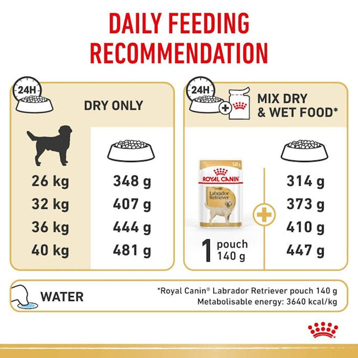 ROYAL CANIN Labrador Adult Dry Dog
