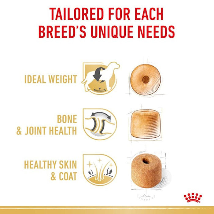 ROYAL CANIN Labrador Adult Dry Dog