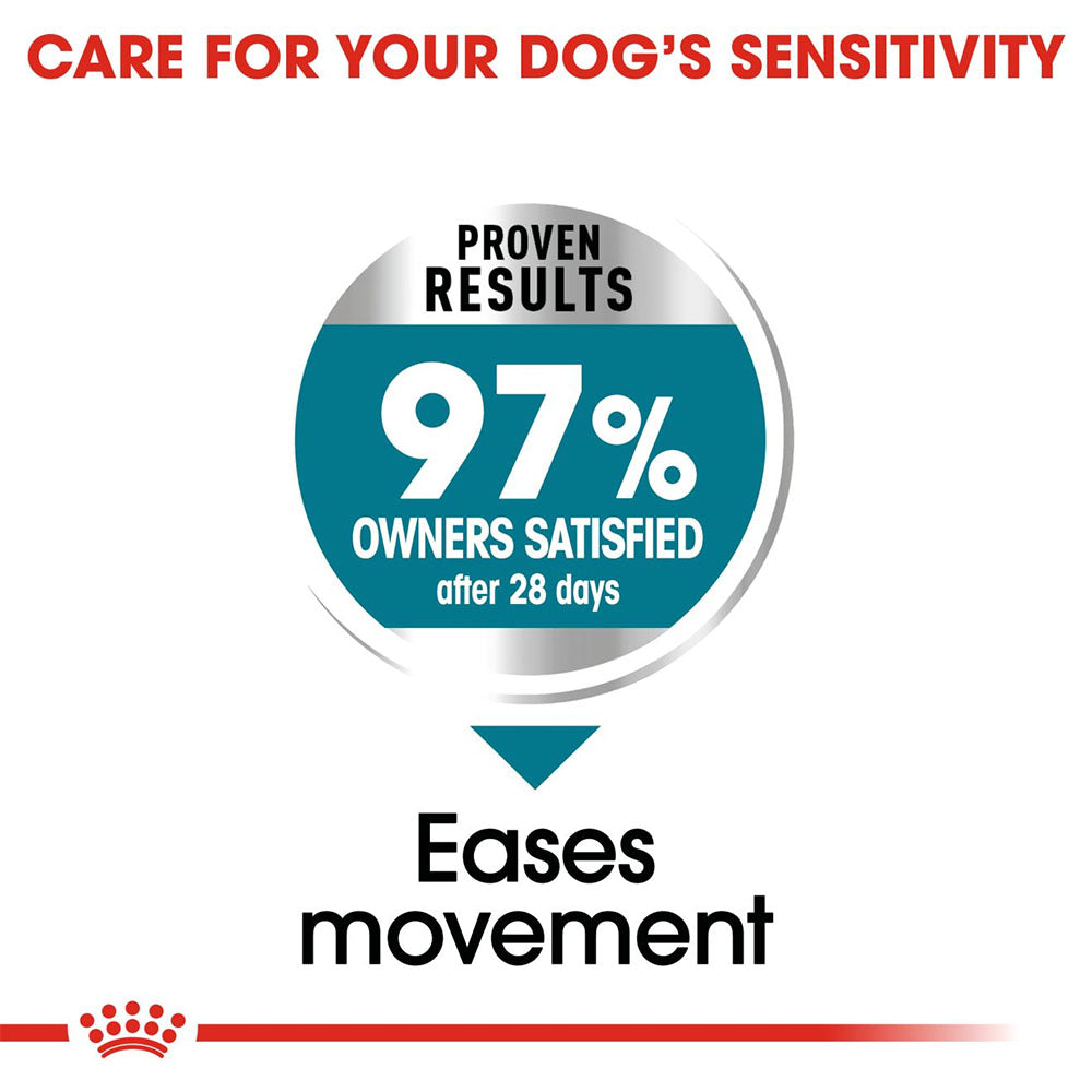 ROYAL CANIN Maxi Joint Care Dry Dog Food - 10Kg