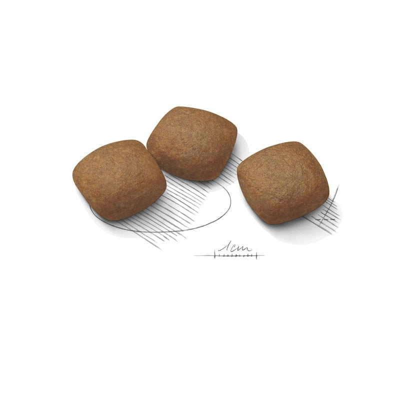 ROYAL CANIN Maxi Joint Care Dry Dog Food - 10Kg