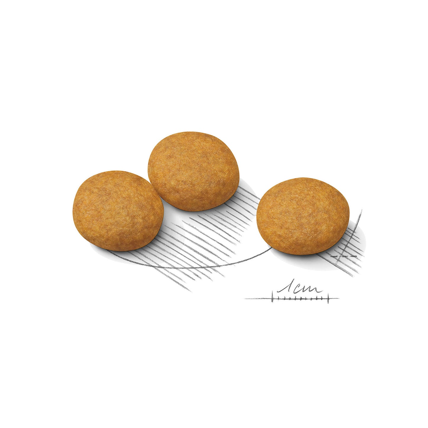 ROYAL CANIN Medium Dermacomfort Dry Dog Food