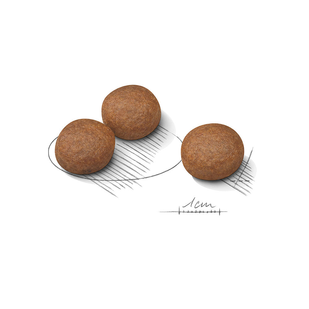 ROYAL CANIN Medium Digestive Care Dry Dog Food