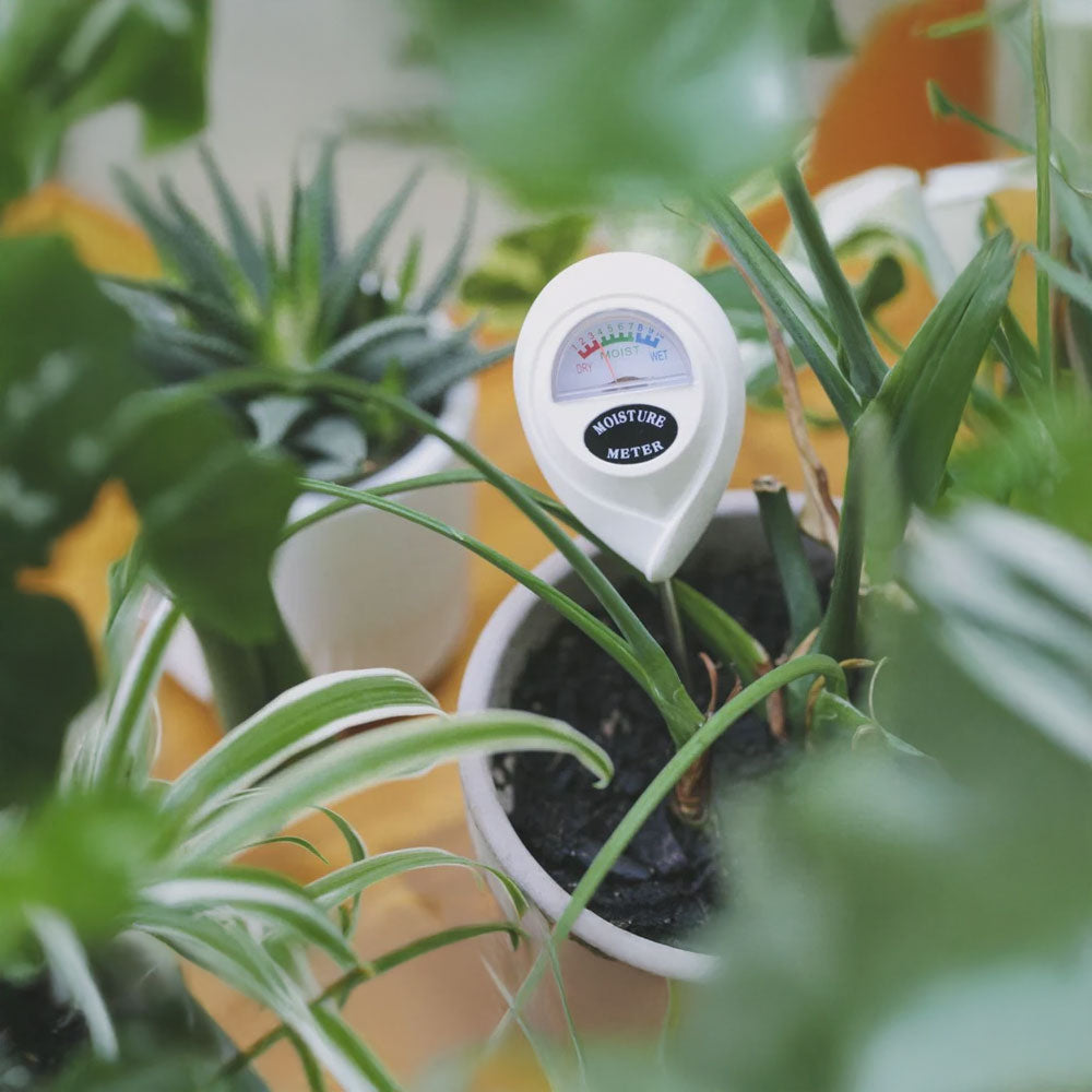 RYSET Soil Moisture Meter