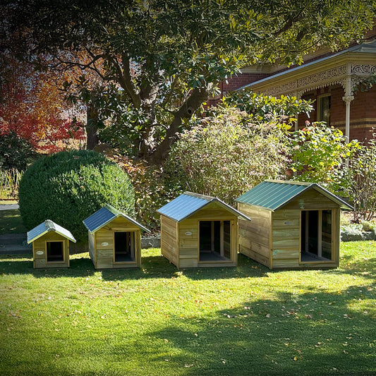 STEEL CHIEF Timber Dog Kennel (Gable Roof)