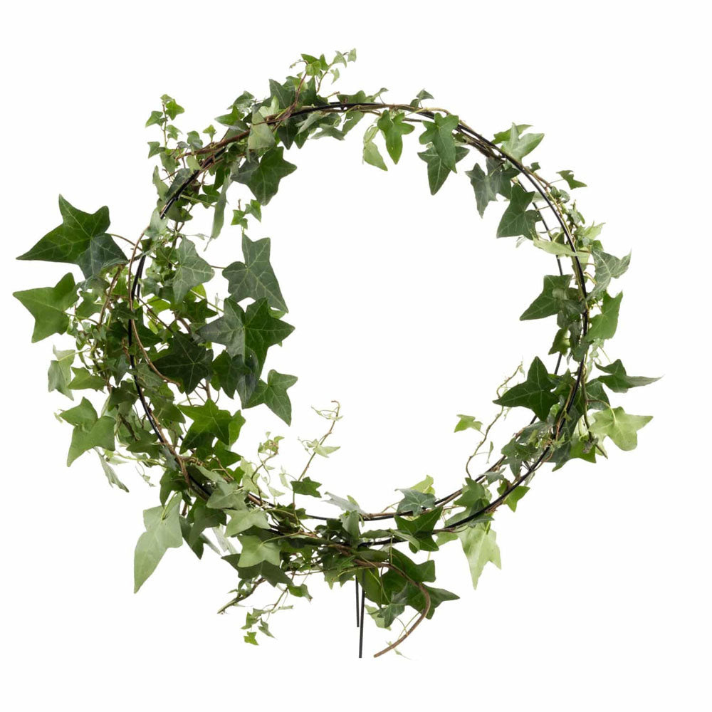 TAKASHO Topiary Frame Round 35cm
