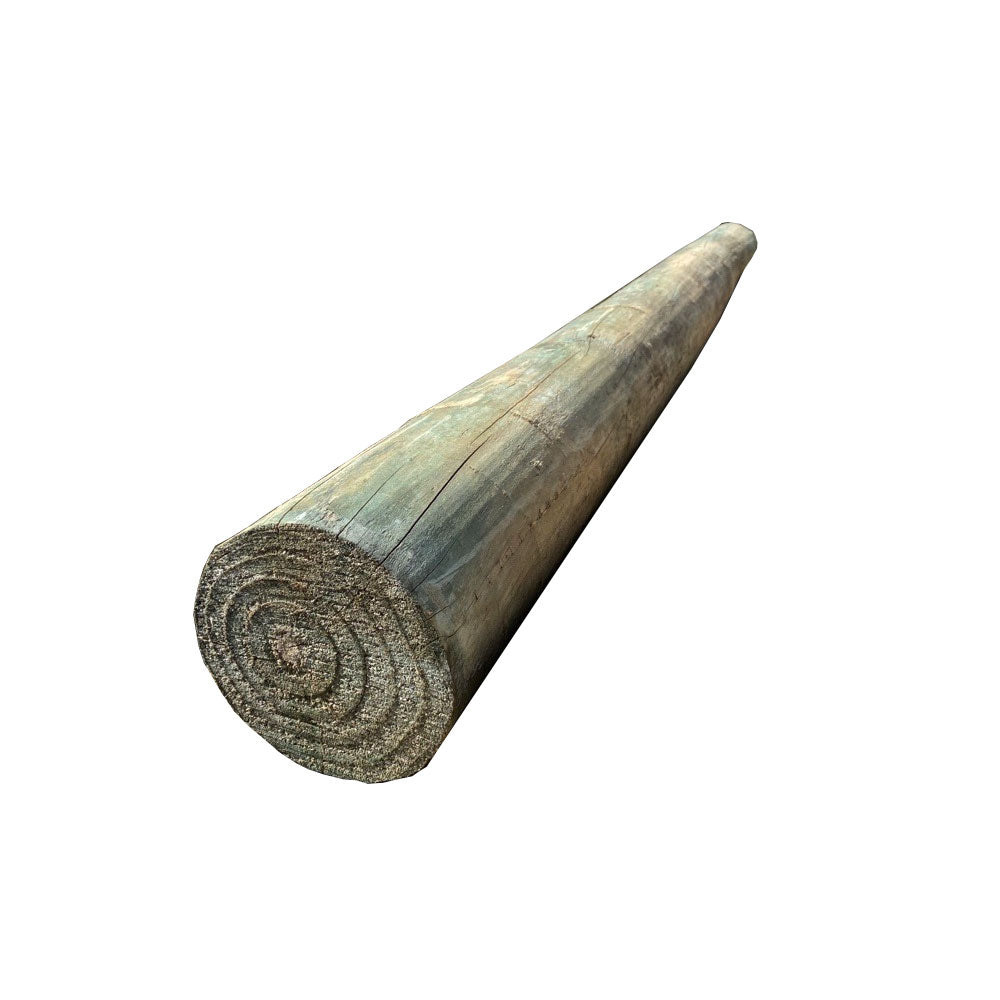 Treated Pine Pole