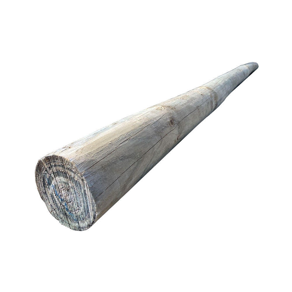 Treated Pine Pole