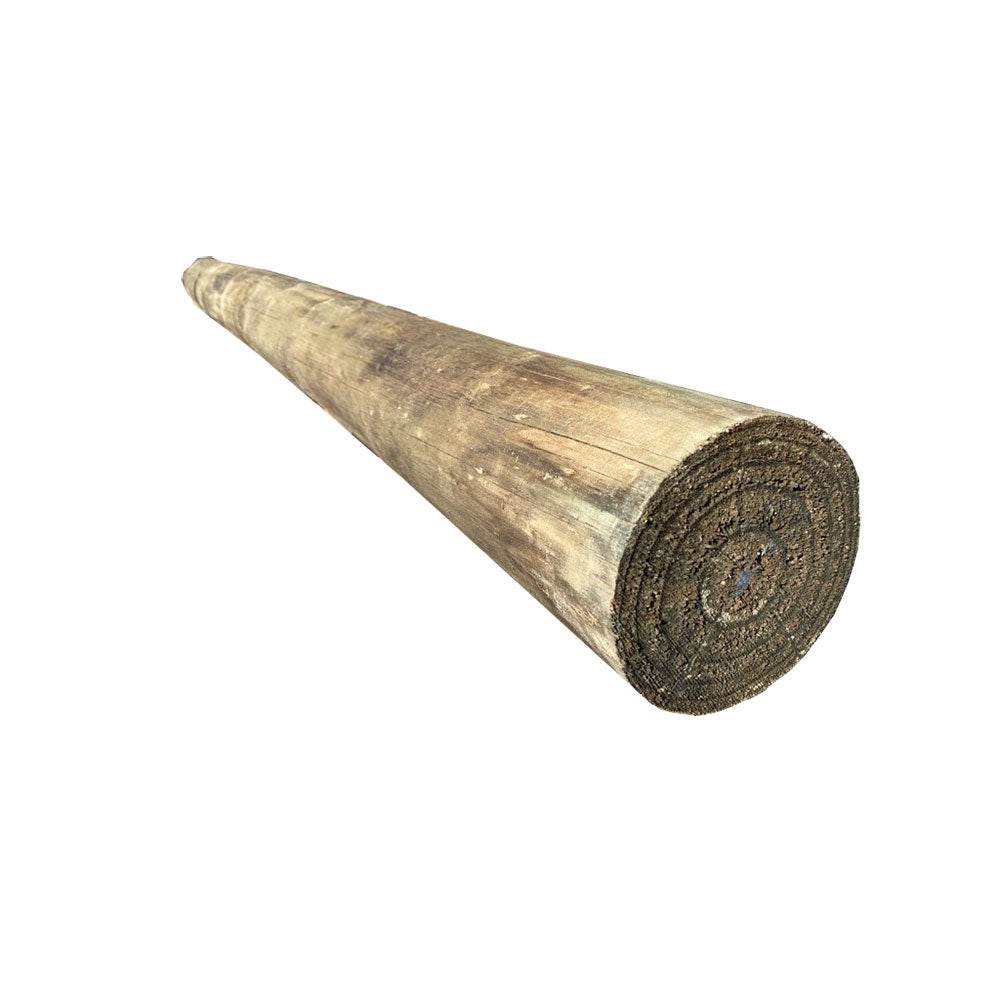 Treated Pine Pole