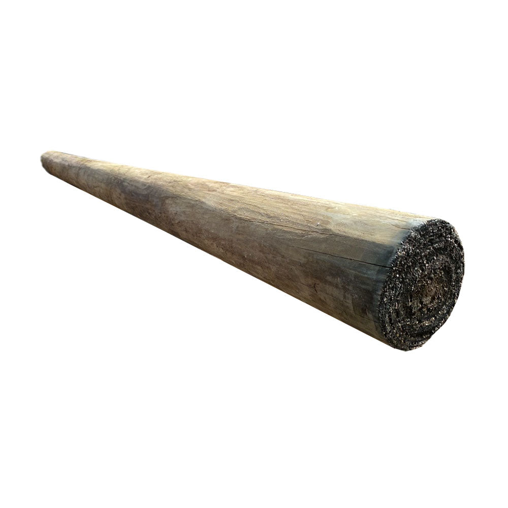 Treated Pine Pole