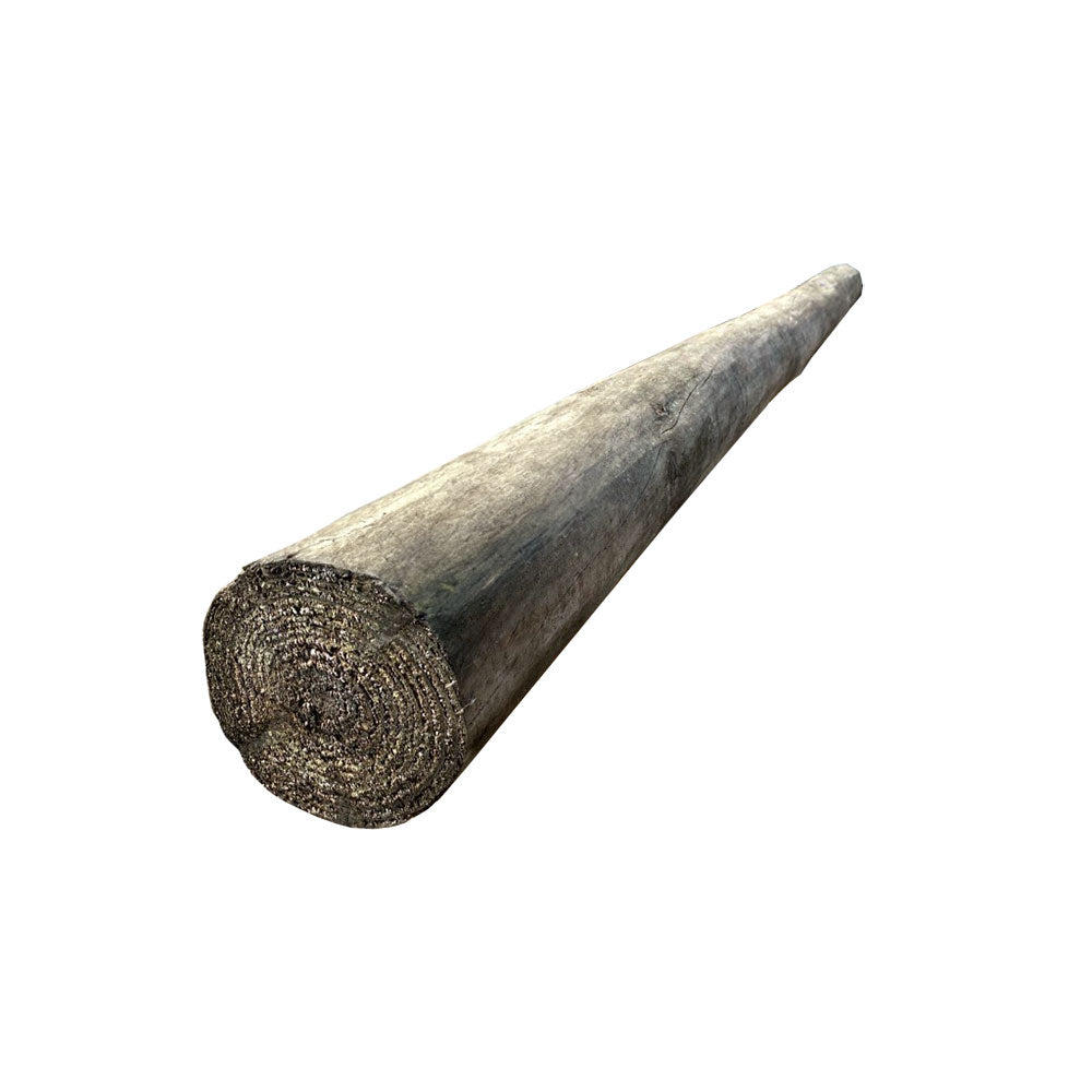 Treated Pine Pole