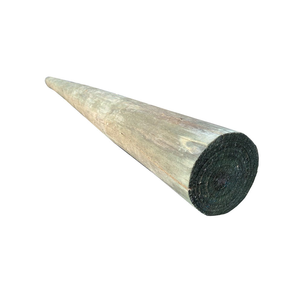 Treated Pine Pole