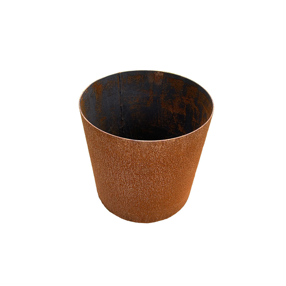 Steel Tree Ring