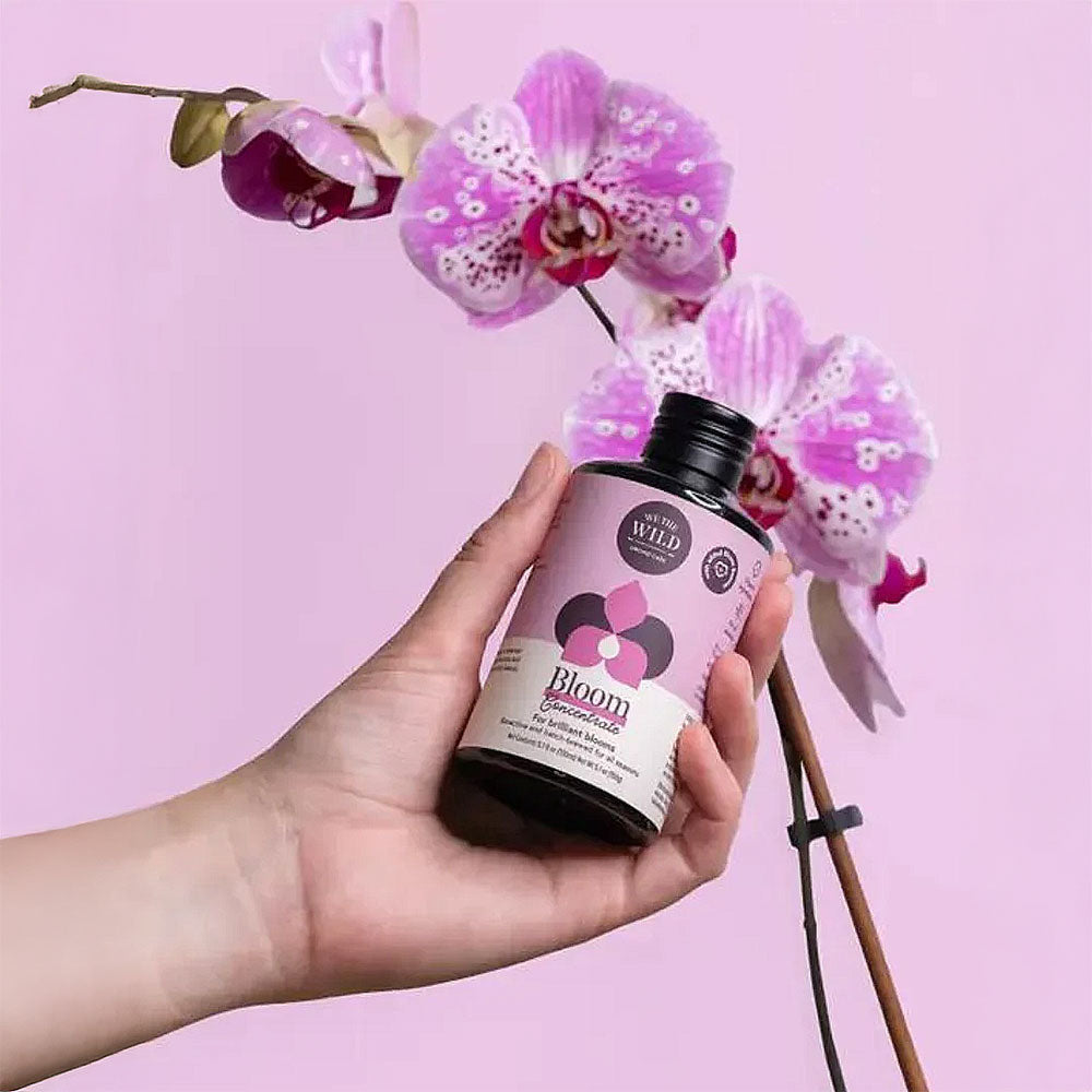 WE THE WILD Bloom Concentrate