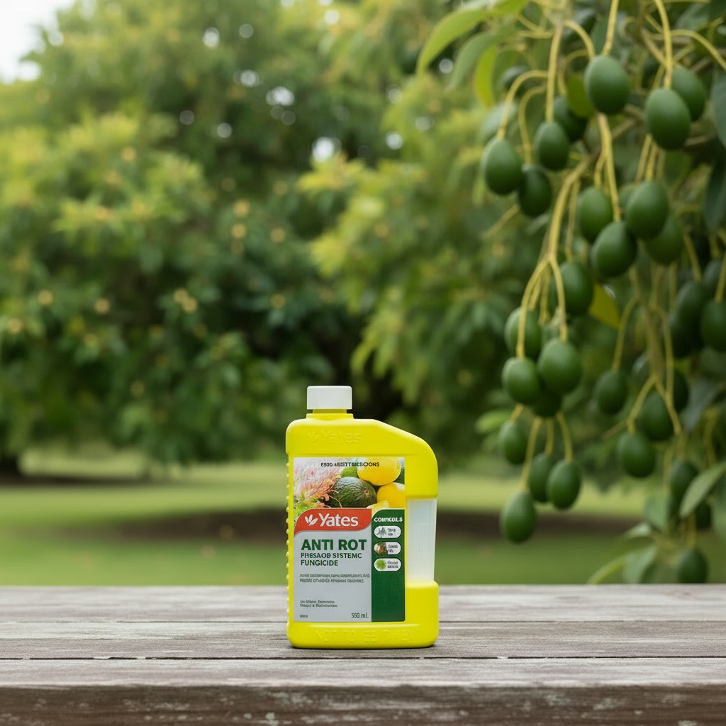 YATES Anti Rot Fungicide