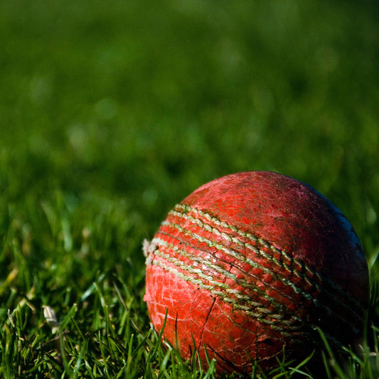 How To Make A Backyard Cricket Pitch