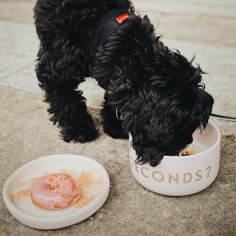 The Importance of Your Pet's Food Bowl: Why Material Matters