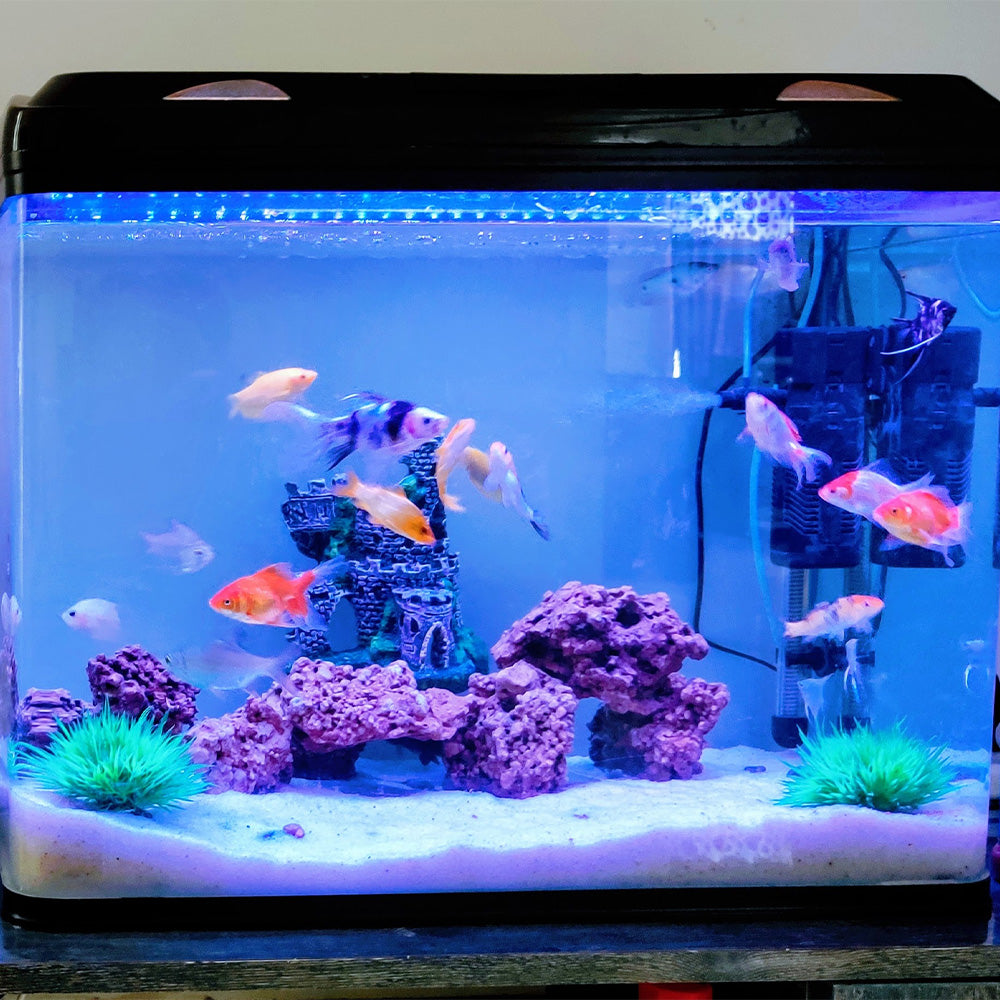 aqua one fish tank accessories Craftsboys 1.5 Gallon Starter Kits, Nano Glass Aquarium with Filter, Led Light for Aquascape DIY Small Betta Fish Tank : Pet Supplies step filtration system (biological Aqua One Betta Sanctuary |