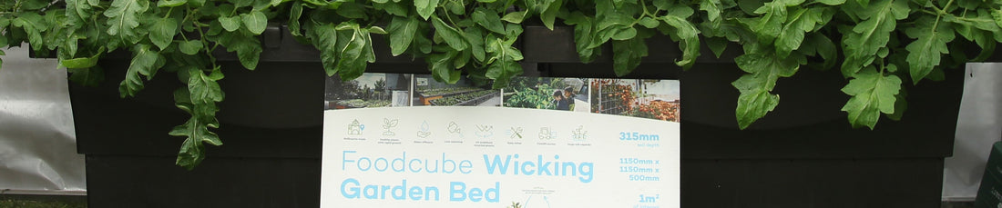FoodCube  the perfect planter for your backyard, school, or community garden.