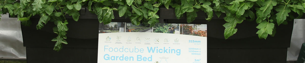 FoodCube  the perfect planter for your backyard, school, or community garden.
