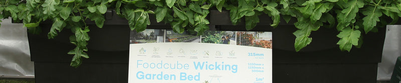 FoodCube  the perfect planter for your backyard, school, or community garden.