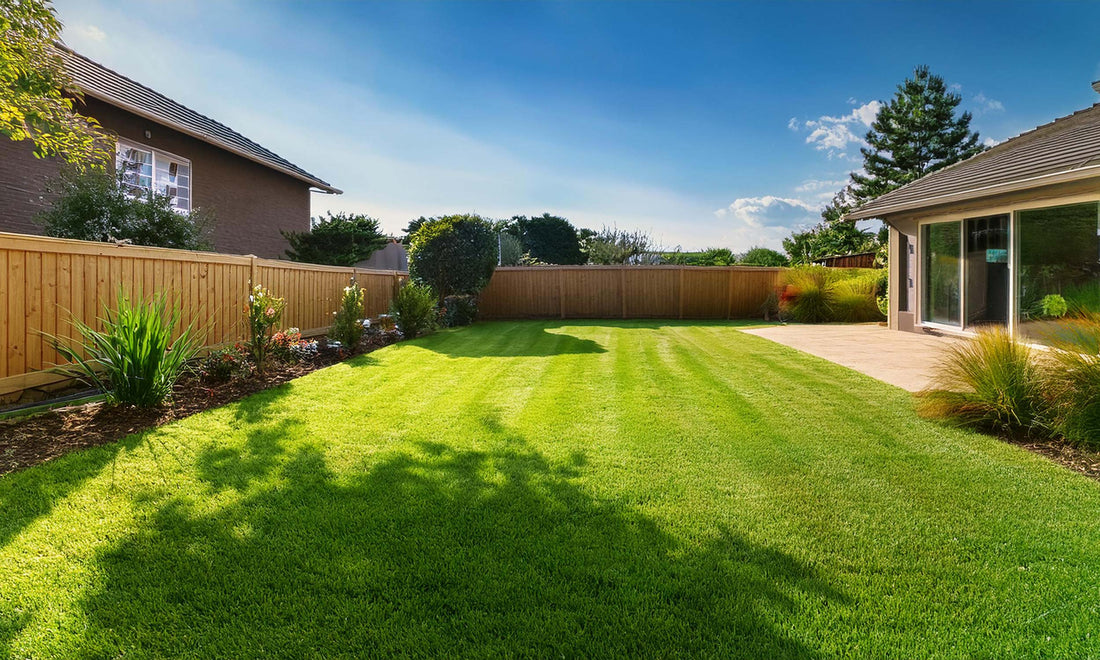 How Anco Instant Turf's Eureka Kikuyu stands out from the competition