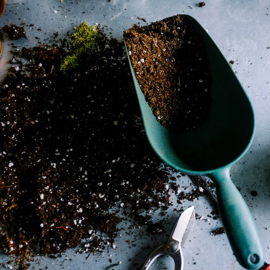 What Makes Good Garden Soil?