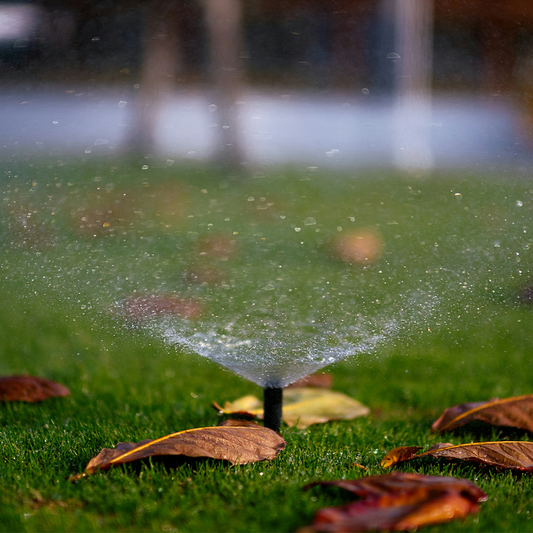 Automated Garden Watering: A Comprehensive Guide