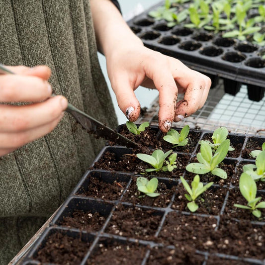 The Ultimate Guide to Revamping Your Garden Landscape