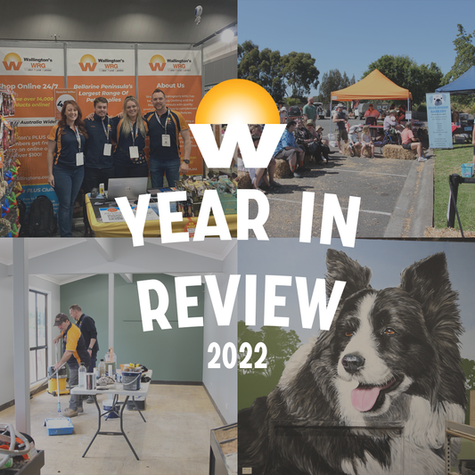 Wallington's WRG 2022 In Review