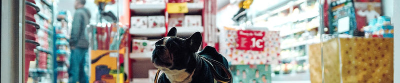 The Bellarine's Largest Family Owned and Operated Pet Stock Supplier
