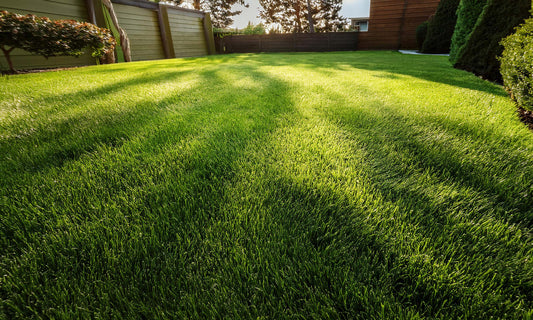 Anco Instant Turf Sir Grange