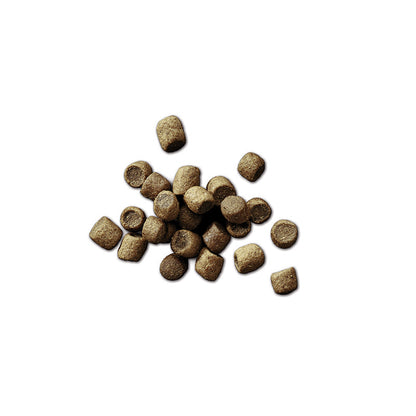 FOOD FOR DOGS Mature Lite Fish Recipe