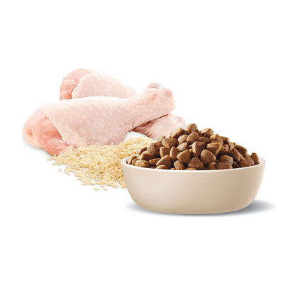 ADVANCE Active Adult All Breed Chicken with Rice Dry Dog Food