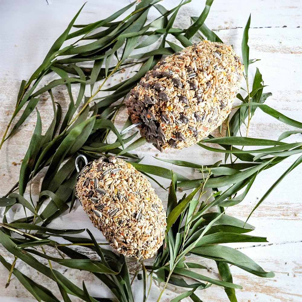 FORAGE GOURMET BIRD SEED Pinecone
