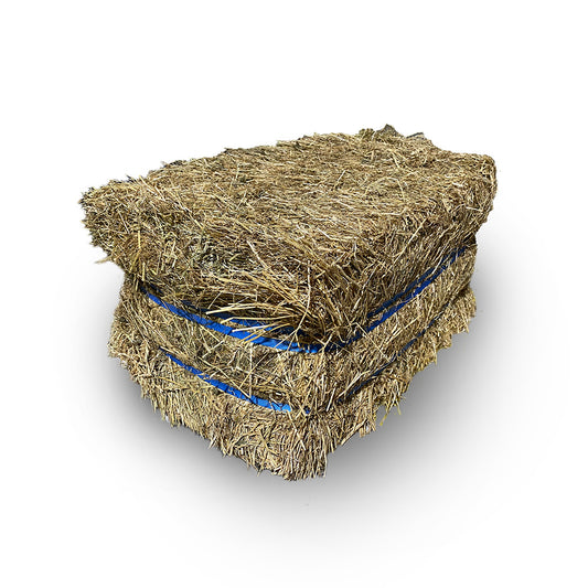 OXLEY FEED MILL Eco Bale Pasture Hay