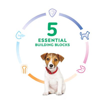 HILL'S Science Diet Puppy Small Bites Chicken & Brown Rice Recipe - 7.03kg