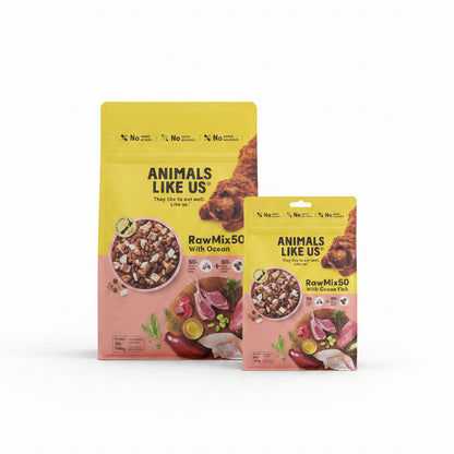 Two packages of 'Animals Like Us' Raw Mix with Ocean Fish on a gray floor.