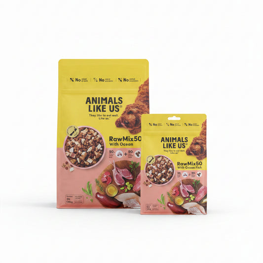 Two packages of 'Animals Like Us' Raw Mix with Ocean Fish on a gray floor.