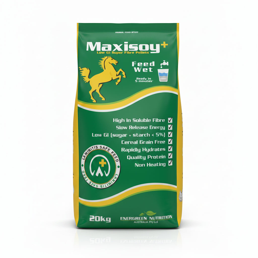 A bag of MAXISOY Low GI-Super Fibre Pellet for horses, with green and yellow packaging highlighting its features such as high soluble fiber content, low GI, slow release energy, and quality protein. The bag also notes that it is dust-free and has a non-heating effect.