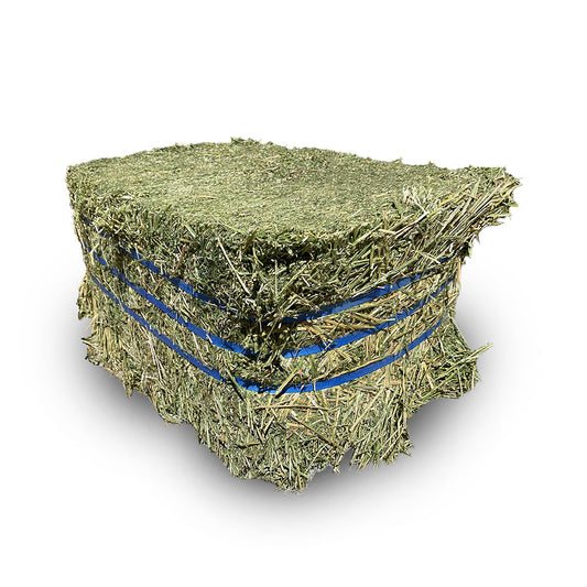 OXLEY FEED MILL Eco Bale Lucerne Hay